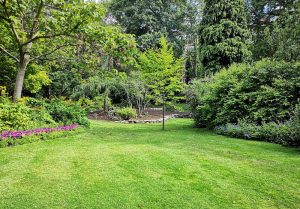 Optimiser l'expérience du jardin à Saint-Ferreol-d'Auroure